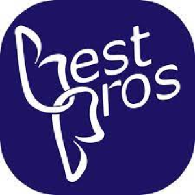 Best Pros logo