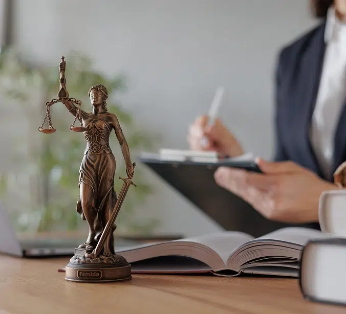 Lawyer Working on Employment Law Case